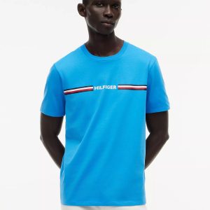 Hilfiger Signature Stripe Logo T-Shirt-Deep Sky Blue