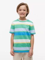 Kids' Multicolor Stripe T-Shirt-Aloha Green