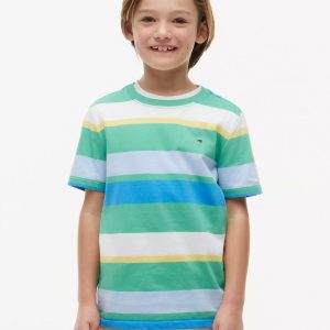 Kids' Multicolor Stripe T-Shirt-Aloha Green