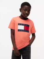 Kids' Tommy Flag Logo T-Shirt-Island Punch