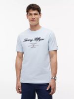Embroidered Script Logo T-Shirt-Breezy Blue