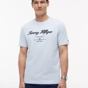 Embroidered Script Logo T-Shirt-Breezy Blue