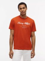 Embroidered Script Logo T-Shirt-Rusty Ochre
