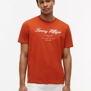 Embroidered Script Logo T-Shirt-Rusty Ochre