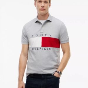 Regular Fit Colorblock Flag Polo-Grey Heather