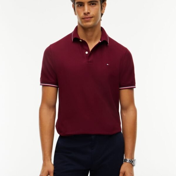 Regular Fit Tommy Wicking Polo-Burgundy